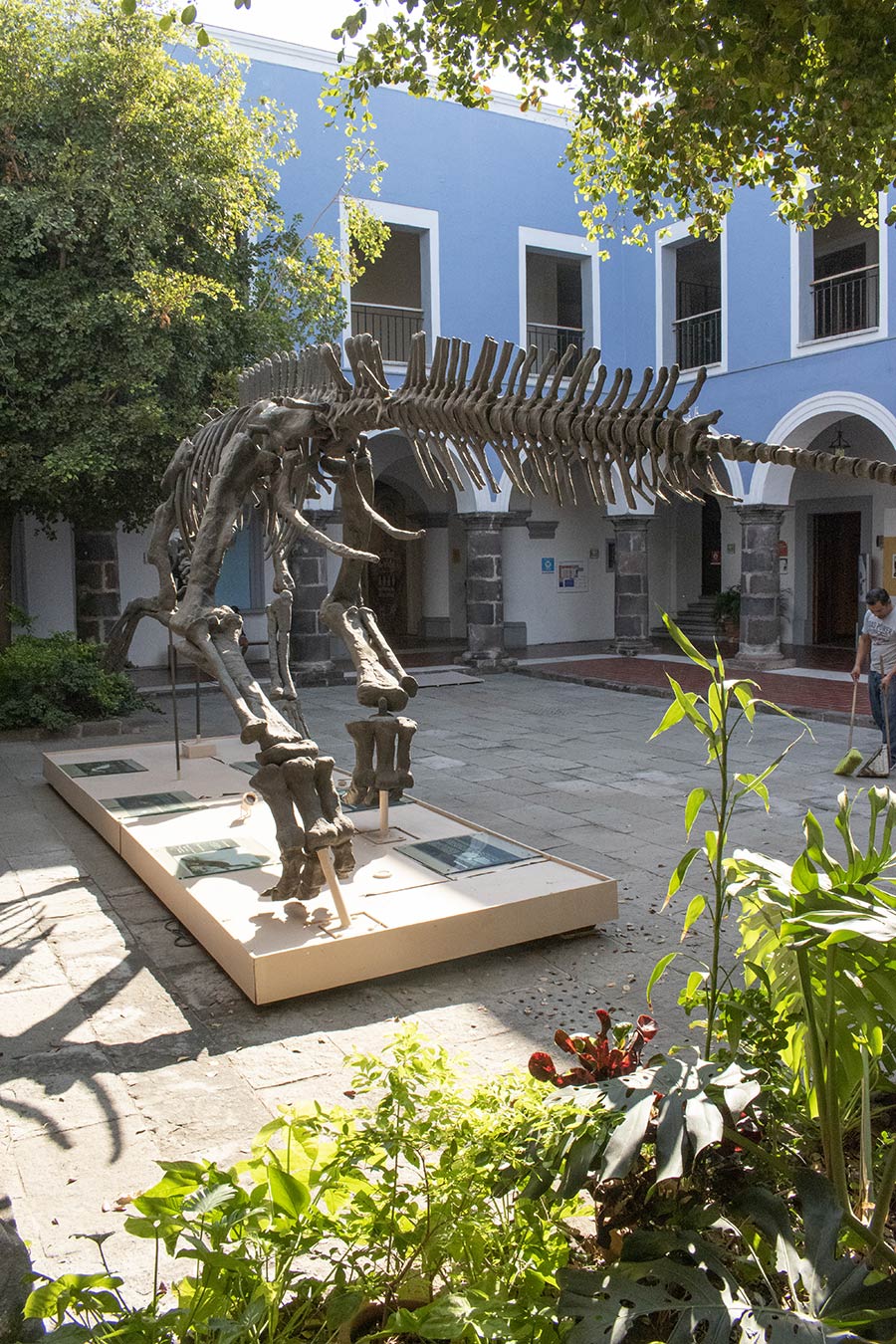 Museo Regional de Historia. Image