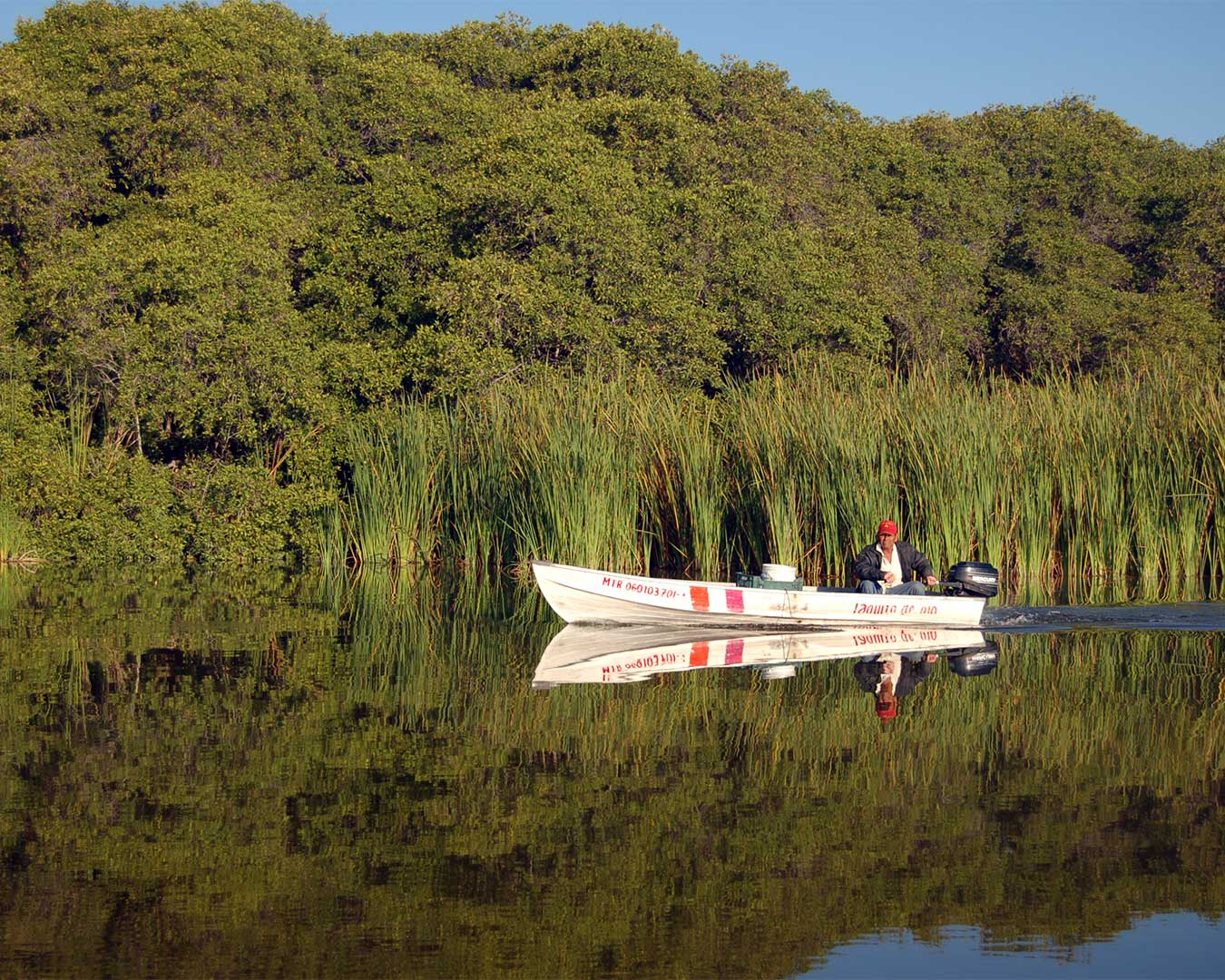 Recorre los esteros de Tecomán Image