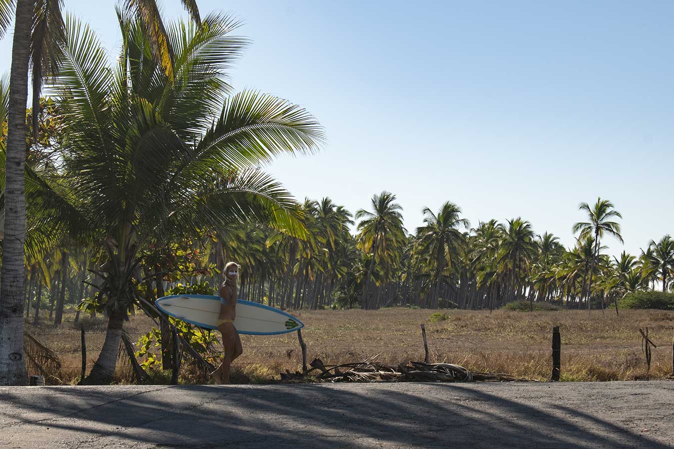 Surf+Palmeras = Pascuales Image