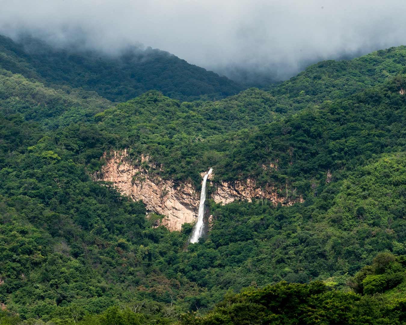 Cascada del Mixcuate, se puede contemplar en época de lluvias Image