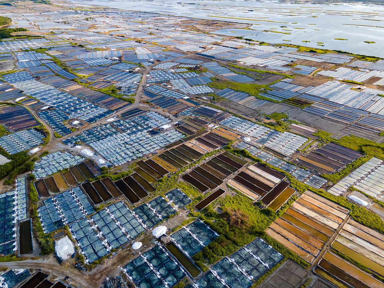 Las salinas de Cuyutlán no solo son un motor económico, sino un atractivo para sus visitantes. Image