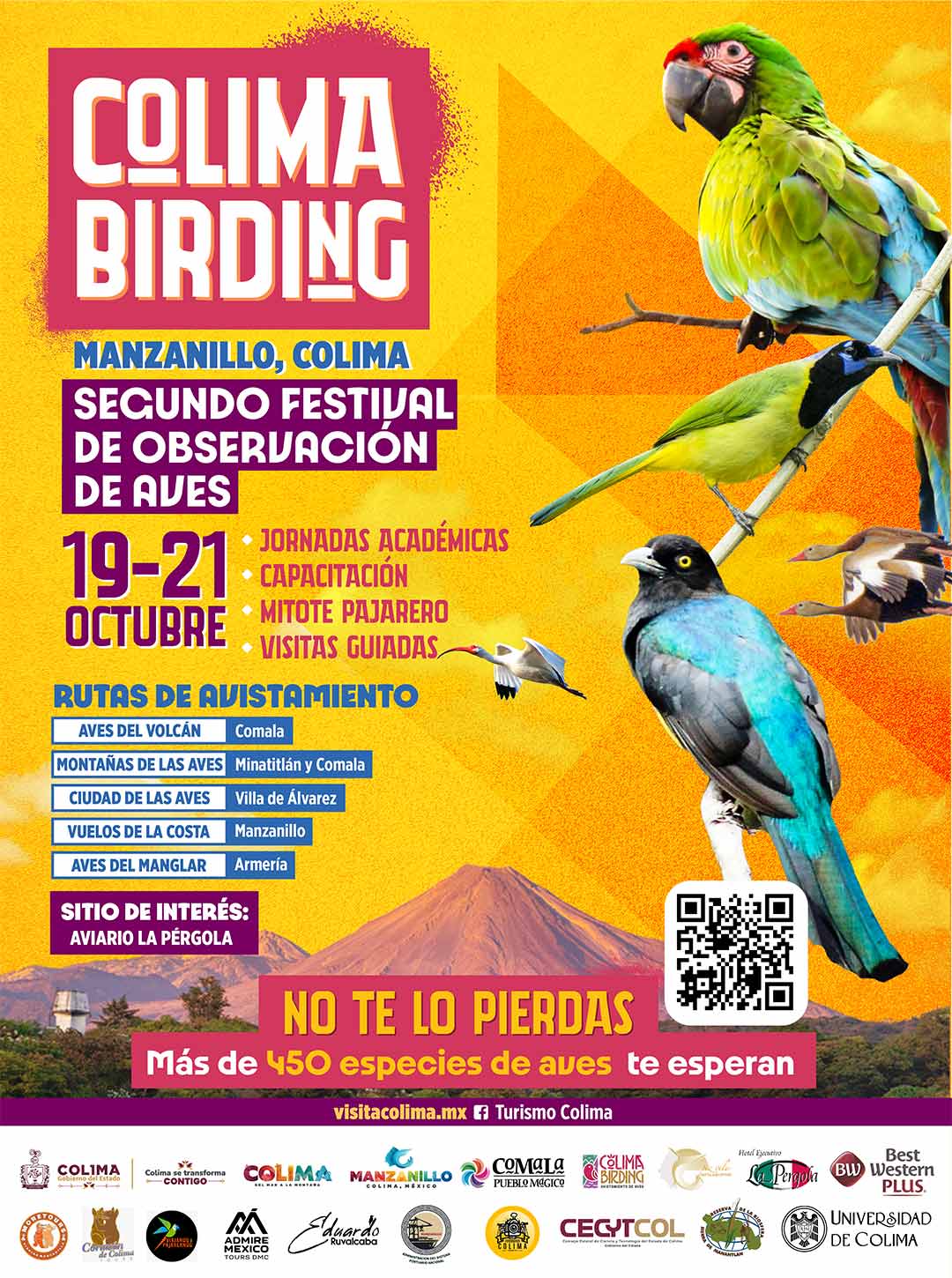 Poster oficial Colima Birding Image