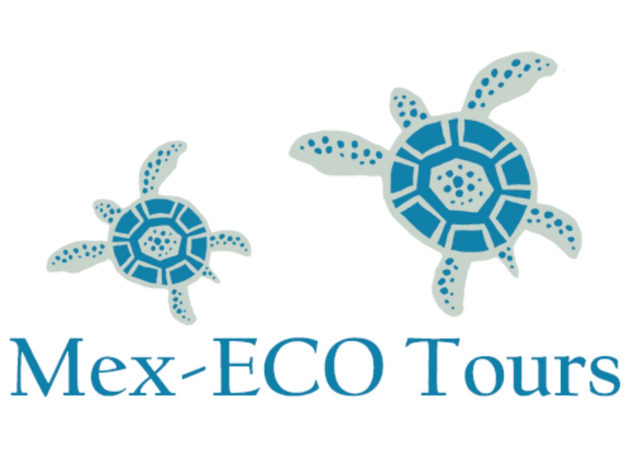 This image for Image Layouts addon