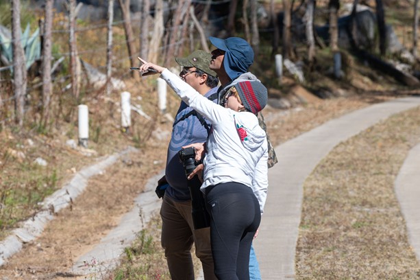 This image for Image Layouts addon