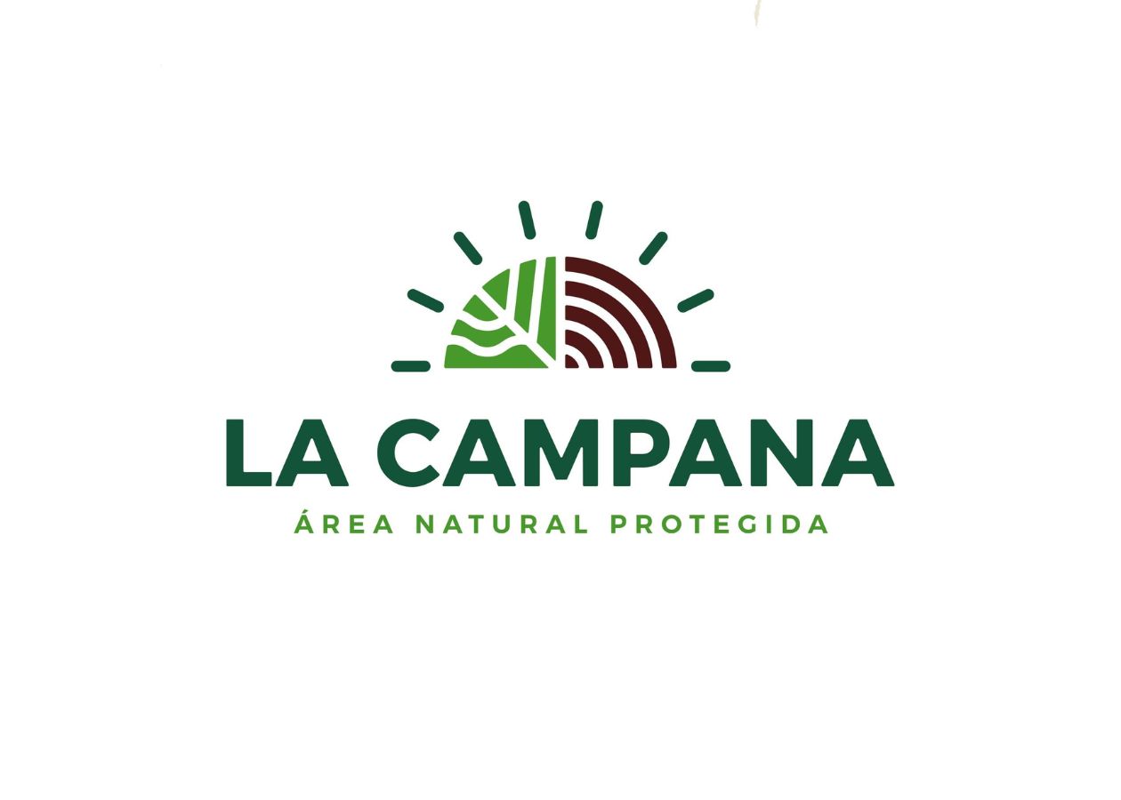 This image for Image Layouts addon