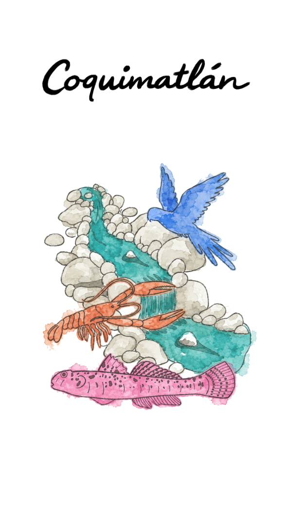 coquima