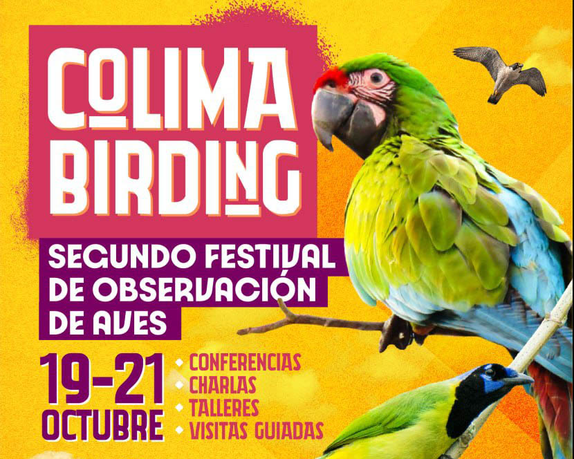 COLIMA BIRDING 2023